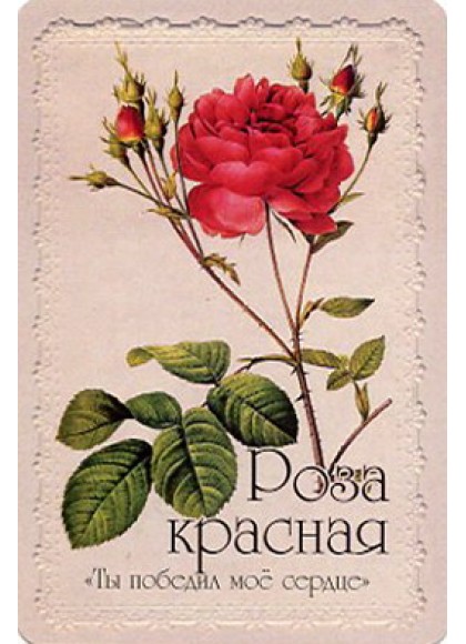 Оракул «Селам или Язык Цветов»